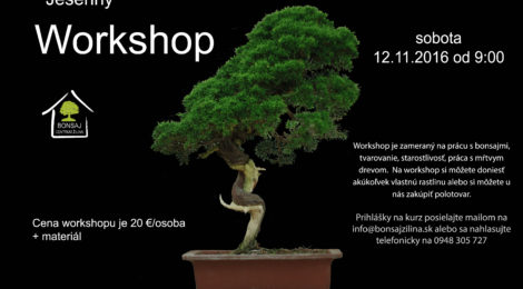 Jesenný workshop