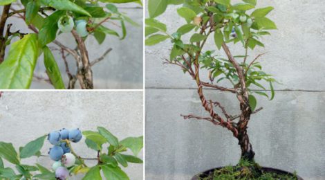Milí naši zákazníci. Počas mesiacov júl a august bude predajňa každú stredu zatvorená.